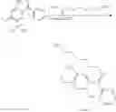 Fig. 11 - Sunscreen Compositions