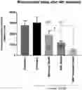 Fig. 01 - Anti-aging cosmetic compositions