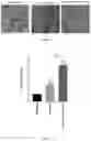 Fig. 03 - Anti-aging cosmetic compositions