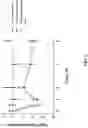 Fig. 03 - USE OF ALPHA-2-ADRENERGIC RECEPTOR AGONISTS FOR IMPROVING VISION