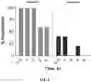 Fig. 05 - USE OF ALPHA-2-ADRENERGIC RECEPTOR AGONISTS FOR IMPROVING VISION