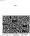 Fig. 04 - EYE DROPS CONTAINING CHITOSAN NANOPARTICLES IN WHICH PDRN IS ENCAPSULATED, AND PREPARATION METHOD THEREFOR