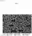 Fig. 05 - EYE DROPS CONTAINING CHITOSAN NANOPARTICLES IN WHICH PDRN IS ENCAPSULATED, AND PREPARATION METHOD THEREFOR