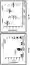 Fig. 08 - Pegylated liposomes and methods of use