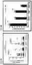 Fig. 09 - Pegylated liposomes and methods of use