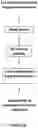Fig. 03 - COMPOSITIONS FOR DELIVERY OF CODON-OPTIMIZED MRNA