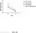 Fig. 05 - COMPOSITIONS FOR DELIVERY OF CODON-OPTIMIZED MRNA