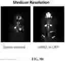 Fig. 18 - COMPOSITIONS FOR DELIVERY OF CODON-OPTIMIZED MRNA