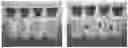 Fig. 01 - Lyophilized formulations of tegavivint