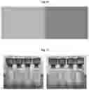 Fig. 10 - Lyophilized formulations of tegavivint