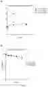 Fig. 08 - Lyophilization of RNA