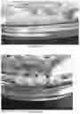 Fig. 04 - ALCOHOL-RESISTANT DRUG FORMULATIONS
