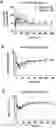 Fig. 01 - ORAL THIN FILM