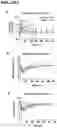Fig. 04 - ORAL THIN FILM
