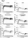 Fig. 10 - ORAL THIN FILM