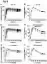 Fig. 11 - ORAL THIN FILM