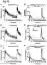 Fig. 13 - ORAL THIN FILM