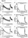Fig. 14 - ORAL THIN FILM