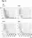 Fig. 16 - ORAL THIN FILM
