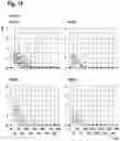 Fig. 17 - ORAL THIN FILM