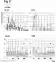 Fig. 20 - ORAL THIN FILM