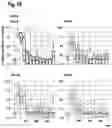 Fig. 21 - ORAL THIN FILM
