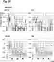 Fig. 23 - ORAL THIN FILM