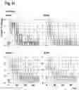Fig. 24 - ORAL THIN FILM