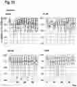 Fig. 26 - ORAL THIN FILM
