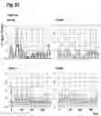 Fig. 27 - ORAL THIN FILM
