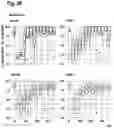 Fig. 29 - ORAL THIN FILM