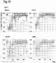 Fig. 30 - ORAL THIN FILM