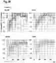 Fig. 31 - ORAL THIN FILM