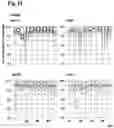 Fig. 34 - ORAL THIN FILM