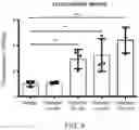 Fig. 05 - USE OF VITAMIN K IN COMBINATION WITH ANTICOAGULANTS
