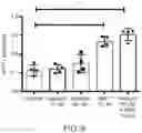 Fig. 07 - USE OF VITAMIN K IN COMBINATION WITH ANTICOAGULANTS