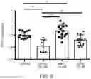 Fig. 09 - USE OF VITAMIN K IN COMBINATION WITH ANTICOAGULANTS
