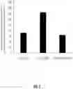 Fig. 03 - Composition for stimulating muscle growth, repair, and maintenance