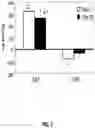 Fig. 04 - Composition for stimulating muscle growth, repair, and maintenance