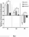 Fig. 08 - Composition for stimulating muscle growth, repair, and maintenance