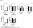 Fig. 04 - PHARMACEUTICAL COMPOSITION COMPRISING a-GALACTOSYLCERAMIDE AND/OR DENDRITIC CELLS PULSED WITH a-GALACTOSYLCERAMIDE
