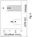 Fig. 04 - COMPOUNDS AND METHODS FOR TREATING ABERRANT ADRENOCORTICAL CELL DISORDERS