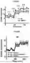 Fig. 09 - Immunosuppressant comprising TSAHC or a pharmaceutically acceptable salts thereof as an active ingredient