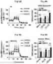 Fig. 11 - Immunosuppressant comprising TSAHC or a pharmaceutically acceptable salts thereof as an active ingredient