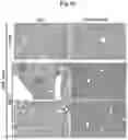 Fig. 18 - Immunosuppressant comprising TSAHC or a pharmaceutically acceptable salts thereof as an active ingredient