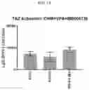 Fig. 04 - TAZ ACTIVATORS AND WNT AGONISTS FOR TREATING EAR DISORDERS