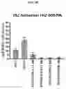 Fig. 07 - TAZ ACTIVATORS AND WNT AGONISTS FOR TREATING EAR DISORDERS