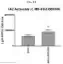 Fig. 08 - TAZ ACTIVATORS AND WNT AGONISTS FOR TREATING EAR DISORDERS
