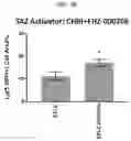 Fig. 09 - TAZ ACTIVATORS AND WNT AGONISTS FOR TREATING EAR DISORDERS