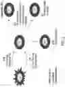 Fig. 03 - Modulation of molecular markers using S-equol